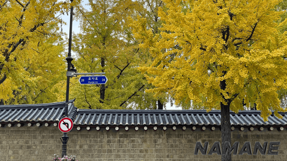 🍁🌃 [Enjoy Autumn in Seoul] 6 Stunning Spots for Fall Foliage & Night Views! Feel Like the Main Character in a K-Drama